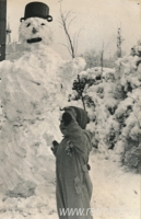 Zima sněhuláková