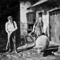 Porážka čuníka sekyrou